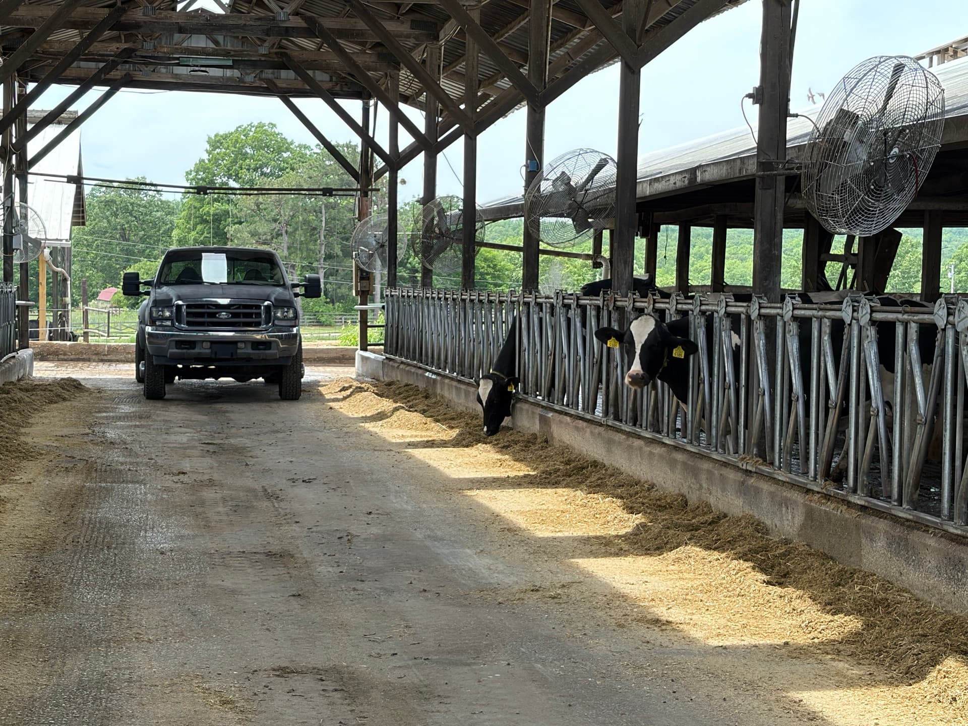 Livestock Pen Repairs at a Dairy Farm in Santa Fe TN image